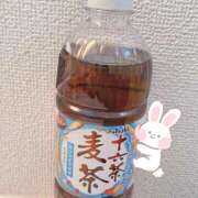 ヒメ日記 2026/02/11 08:39 投稿 椎名 昼顔妻 五反田店