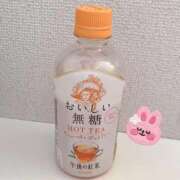 ヒメ日記 2026/03/13 09:59 投稿 椎名 昼顔妻 五反田店