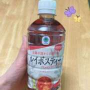 ヒメ日記 2026/06/08 10:42 投稿 椎名 昼顔妻 五反田店