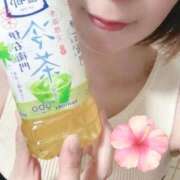 ヒメ日記 2026/08/08 14:41 投稿 椎名 昼顔妻 五反田店