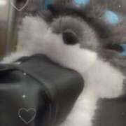 ヒメ日記 2025/02/13 00:56 投稿 まき 新潟デリヘル倶楽部