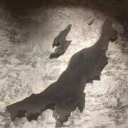 ヒメ日記 2025/02/20 00:56 投稿 まき 新潟デリヘル倶楽部