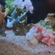 ヒメ日記 2025/03/26 12:26 投稿 まき 新潟デリヘル倶楽部