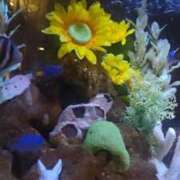 ヒメ日記 2025/07/18 01:16 投稿 まき 新潟デリヘル倶楽部