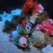 ヒメ日記 2025/12/02 00:46 投稿 まき 新潟デリヘル倶楽部