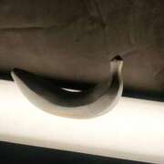 ヒメ日記 2026/01/10 00:16 投稿 まき 新潟デリヘル倶楽部