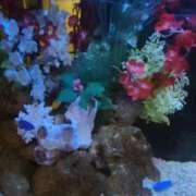 ヒメ日記 2026/01/18 01:16 投稿 まき 新潟デリヘル倶楽部