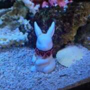 ヒメ日記 2026/02/21 00:26 投稿 まき 新潟デリヘル倶楽部