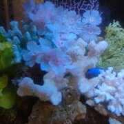 ヒメ日記 2026/04/09 00:31 投稿 まき 新潟デリヘル倶楽部