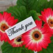 ヒメ日記 2025/11/05 14:42 投稿 なつみ 熟女の風俗最終章 新宿店