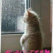 なつみ 明日の御予約ありがとうございます＼(_ _) 熟女の風俗最終章 新宿店