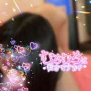 加茂よしか 𓏸𓏸って辛すぎる 全裸の極みorドッキング痴漢電車