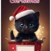 ヒメ日記 2024/12/25 15:42 投稿 なつみ 熟女の風俗最終章 池袋店