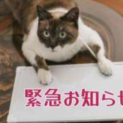 ヒメ日記 2024/12/29 23:58 投稿 なつみ 熟女の風俗最終章 池袋店