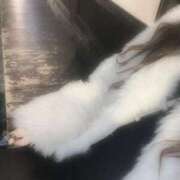 ヒメ日記 2025/11/12 17:44 投稿 本田 新宿人妻城