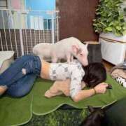 ヒメ日記 2026/04/06 09:17 投稿 本田 新宿人妻城