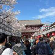 ヒメ日記 2026/04/18 23:36 投稿 本田 新宿人妻城