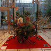 ヒメ日記 2026/01/23 09:18 投稿 なつめ 熟女の風俗最終章 新潟店