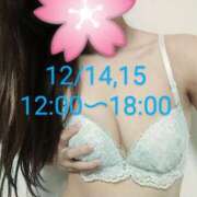 ヒメ日記 2024/12/12 20:02 投稿 ひろ 出会い系人妻ネットワーク さいたま～大宮編