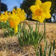 ヒメ日記 2026/03/29 20:10 投稿 まりえ 熟女SPA