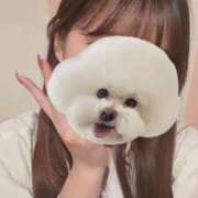 ヒメ日記 2025/10/28 06:25 投稿 とわ マリン宇都宮店