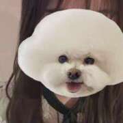 ヒメ日記 2025/12/04 11:35 投稿 とわ マリン宇都宮店