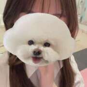 とわ 🥺🤍 マリン宇都宮店