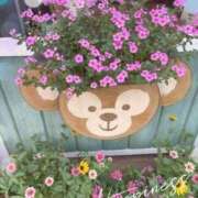 ヒメ日記 2025/09/04 18:47 投稿 まゆみ 人妻小旅行