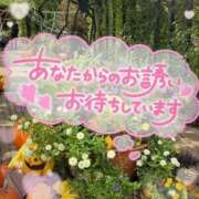 ヒメ日記 2025/09/23 16:27 投稿 まゆみ 人妻小旅行