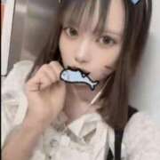 雨宮るる 11時から23時までおみせいるよ！ JKリフレ東京 秋葉原本店