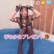 ヒメ日記 2025/02/14 14:31 投稿 ぴの 川崎ソープ　クリスタル京都南町