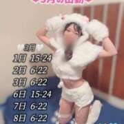 ヒメ日記 2025/03/01 14:32 投稿 ぴの 川崎ソープ　クリスタル京都南町