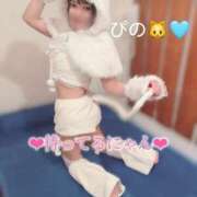 ヒメ日記 2025/03/02 10:06 投稿 ぴの 川崎ソープ　クリスタル京都南町