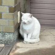 ヒメ日記 2024/12/31 16:50 投稿 おとめ One More奥様　横浜関内店