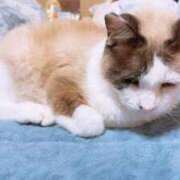 ヒメ日記 2025/01/04 10:30 投稿 おとめ One More奥様　横浜関内店