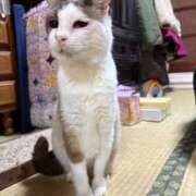 ヒメ日記 2025/01/05 14:15 投稿 おとめ One More奥様　横浜関内店