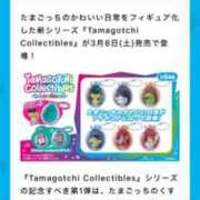 ヒメ日記 2025/02/12 15:02 投稿 おとめ One More奥様　横浜関内店