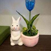 ヒメ日記 2025/02/14 22:31 投稿 おとめ One More奥様　横浜関内店