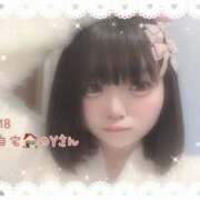 ヒメ日記 2025/03/19 09:23 投稿 おとめ One More奥様　横浜関内店