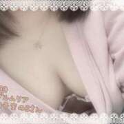 ヒメ日記 2025/04/01 14:14 投稿 おとめ One More奥様　横浜関内店