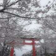 ヒメ日記 2025/04/06 19:02 投稿 おとめ One More奥様　横浜関内店