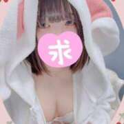 ヒメ日記 2025/04/09 15:14 投稿 おとめ One More奥様　横浜関内店