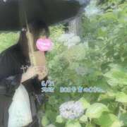 ヒメ日記 2025/06/23 11:34 投稿 おとめ One More奥様　横浜関内店