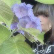 ヒメ日記 2025/06/25 10:30 投稿 おとめ One More奥様　横浜関内店