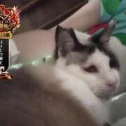 ヒメ日記 2025/09/19 08:02 投稿 おとめ One More奥様　横浜関内店