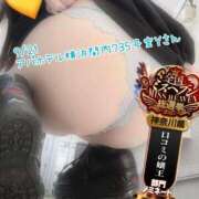 ヒメ日記 2025/09/23 08:45 投稿 おとめ One More奥様　横浜関内店