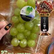 ヒメ日記 2025/10/16 16:15 投稿 おとめ One More奥様　横浜関内店