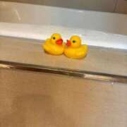 ヒメ日記 2025/10/19 03:35 投稿 おとめ One More奥様　横浜関内店