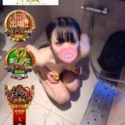 ヒメ日記 2025/11/19 12:45 投稿 おとめ One More奥様　横浜関内店