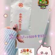 ヒメ日記 2026/01/08 08:57 投稿 おとめ One More奥様　横浜関内店